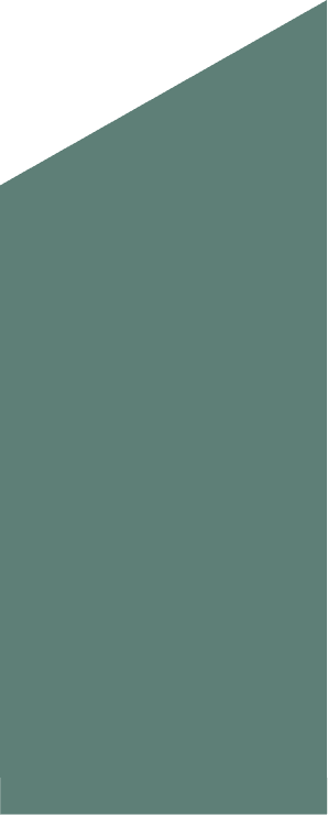 Rectangle 2 Updated